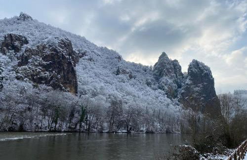 Ferienhaus am Fluss. Baubiologisch renoviert. - Foto 50