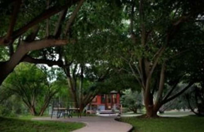 Coral Tree House - Foto 30