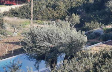 Olithos Villas - Photo 20