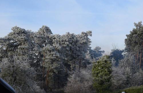 Ferienwohnung ISTERBERG - Foto 19