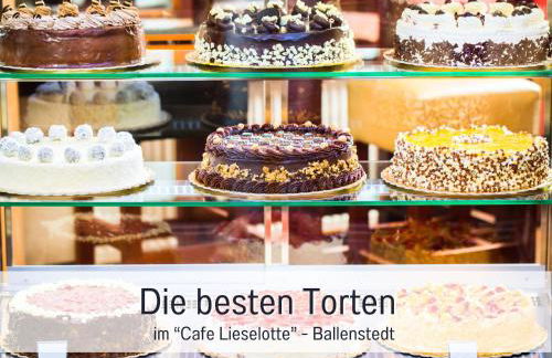 Ferienwohnung - Vakantiewoning- Perle am Teich- mit Klimaanlage- direkt am Selketal- ideal für Fahrradfahrer und Wanderer- perfekt für eine Auszeit vom Alltag - Foto 38