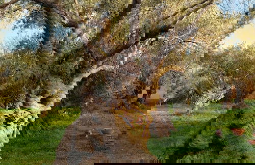 La Piana degli Ulivi - Foto 43