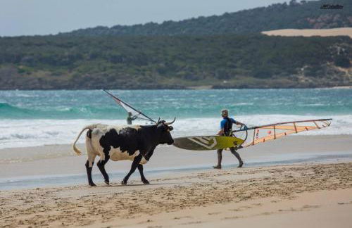 WAVEShouseTARIFA - Photo 26