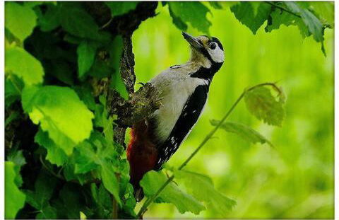 Caserio Aritziberre - Foto 10