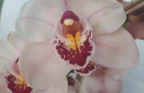 Casa di Giulia (Bambini gratis fino a 6 anni) - Foto 41