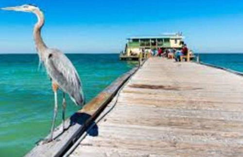 Waterview Oasis Retreat, minutes to Anna Maria Island and IMG - Photo 45