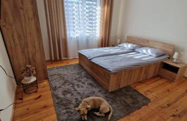 Agroturystyka Krzywy Zakątek - Foto 14