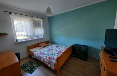 Siedlisko Radogoszcz, jacuzzi ,sauna - Foto 16