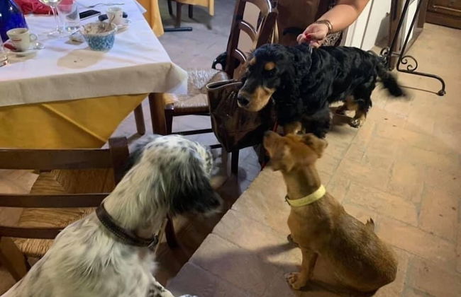 Setter House Agri Hotel - Foto 79