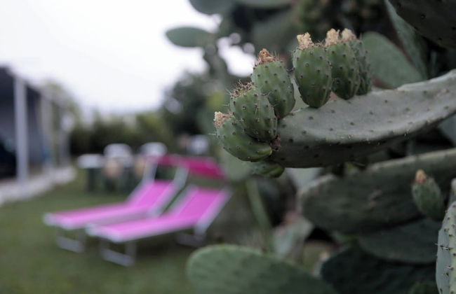 Rilassante E Indipendente- La Rondinella -detacha - Foto 28