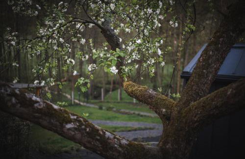 Domki pod Krakowem - Stare Sady - Photo 121