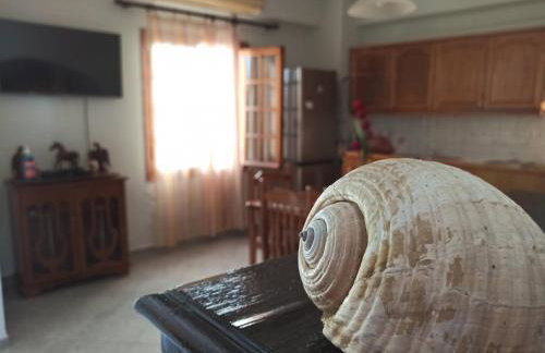 Μπαλκόνι του Αιγαίου father's house in Kimi - Photo 25