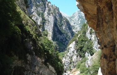 La Rondita, Fuentes, Parres, Asturias - Photo 35