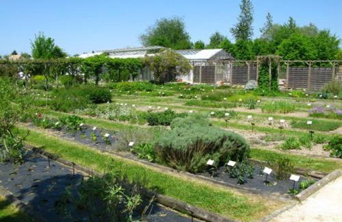 Gîte Le Carpe diem Milly-la-Forêt - Foto 38