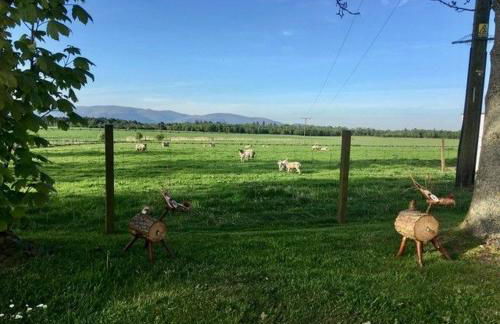 South Doll Farm Cottage - Foto 45