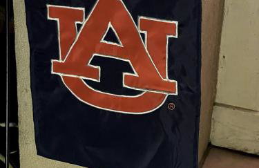 Aubie's Hangout - Walk to Downtown & Campus! - Foto 13