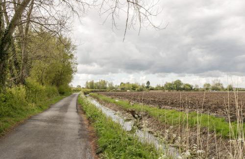 Wellfield Cottage - Foto 26