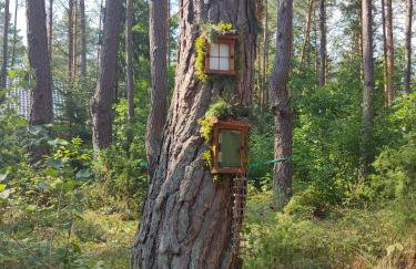 domki przy lipowej 14 - Foto 27