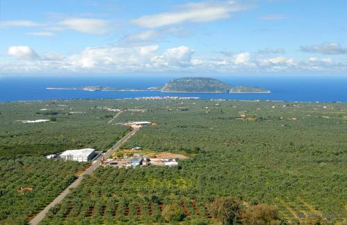 ΤΕΛΛΟΣ ΑΓΡΑΣ - Foto 10