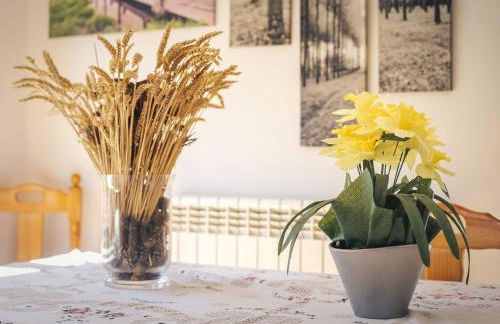 Casa Ferran, amplias habitaciones y apartamentos de montaña - Foto 62