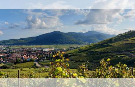 Les Toits de Turckheim - Foto 19