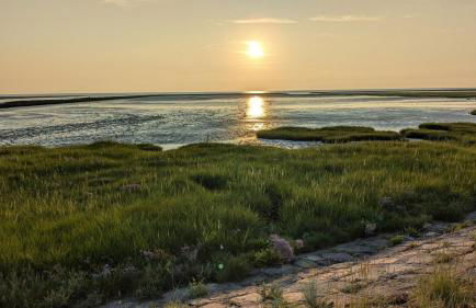 Haus am Meer - Foto 13