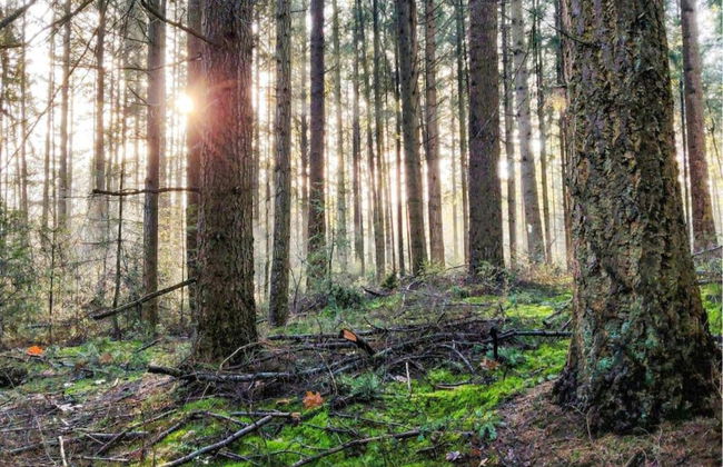 Holiday Park Escape in Drenthe - Photo 27