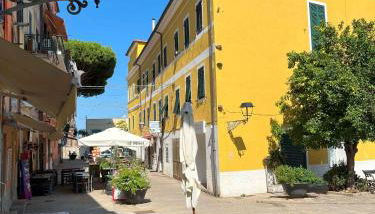 Via Scappini - Foto 1