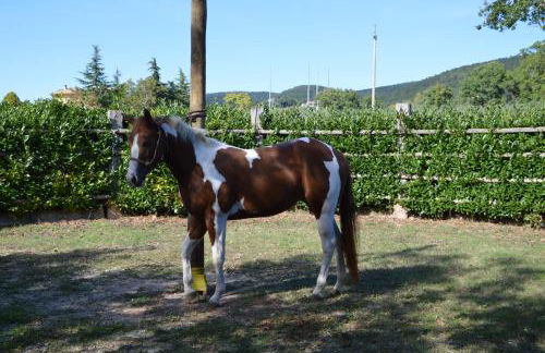 Casale Dolci Dimore - Foto 55