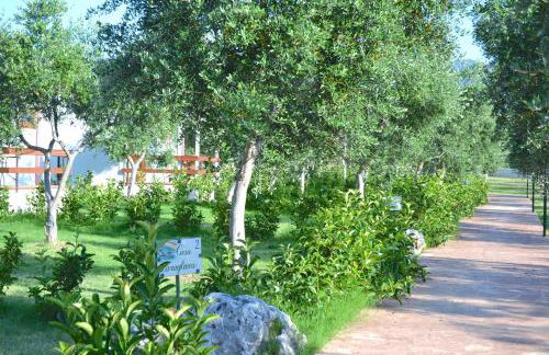 Agriturismo Antichi Ulivi - Foto 51