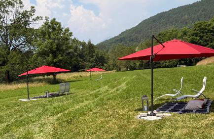 Maso K - Il Gufo Dorato - Foto 52