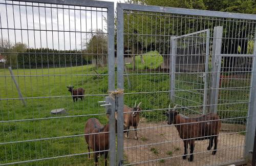 Ferienwohnung/Monteurzimmer auf dem Bauernhof - Foto 36