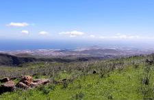 Holla del Saldo - Foto 37