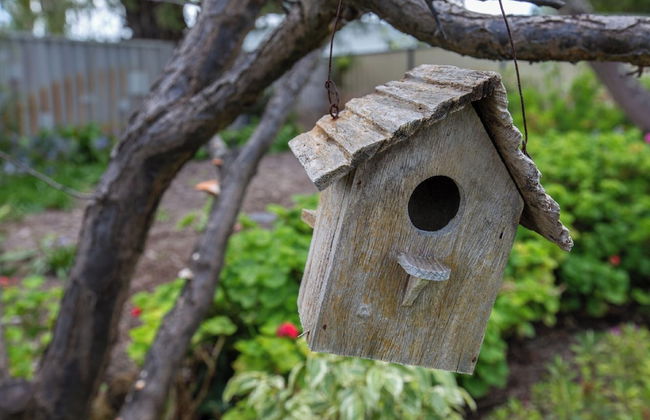 Relax and Unwind at Otters Retreat - Foto 14