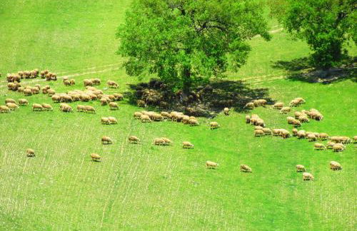 Casa dei Sogni d'Oro - Foto 14