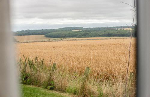 Lodge No 19 - St Andrews Lodge Park - Foto 24