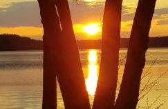 Villa am Stechlin - Foto 23