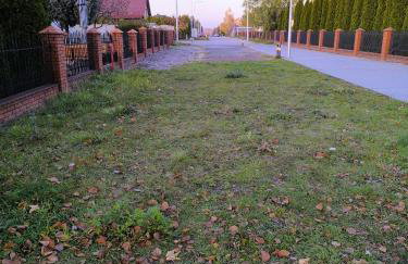 Restauracja Dajana - Foto 71