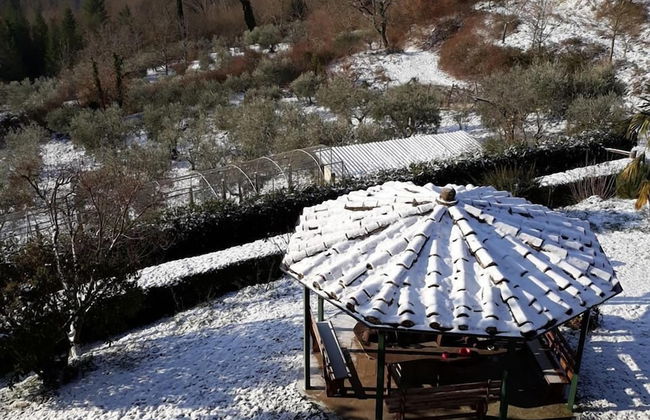 Borgo del Senatore - Foto 35