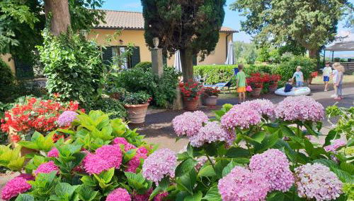 Residence Villa Elena - Foto 3, Garden view