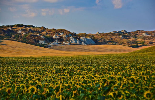 Cozy Tuscan Countryside Escape - Foto 11