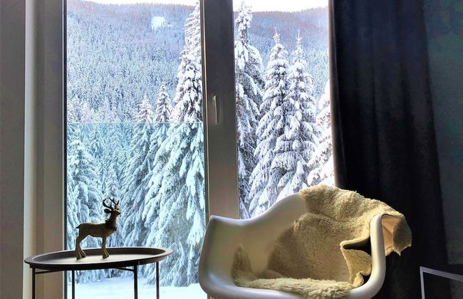 Mountain View Apartment in Bad Kleinkirchheim near Ski Area - Foto 42