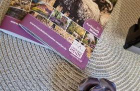 Ferienwohnung Hoppenstedt - Foto 10