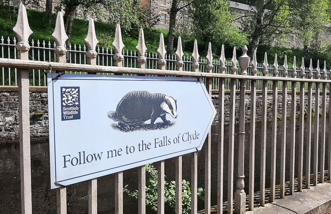 New Lanark Self-Catering Waterhouses - Foto 43