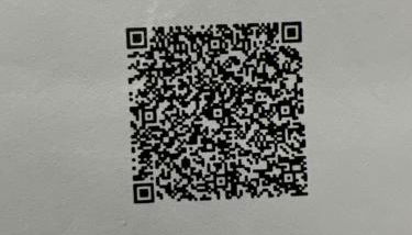 Alloggio turistico La tartaruga - Foto 4