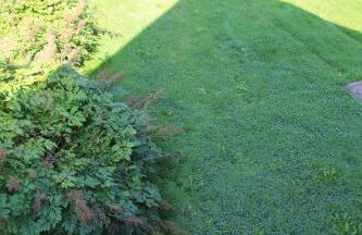 Haus der Berge - Foto 44