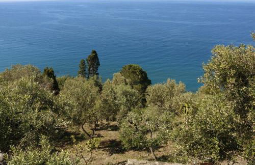 Villa Canale - Foto 40