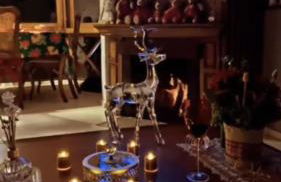 Hortênsiailedefrance - Foto 17