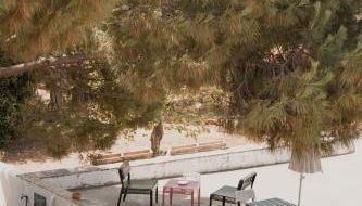 Guest House Almeixar - Foto 5