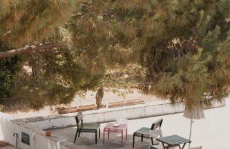 Guest House Almeixar - Foto 5